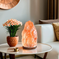 Natural Shape Himalayan Salt Lamp – The Glow of Purity
