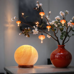 Himalayan Salt Globe Lamp