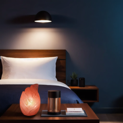 Himalayan Salt Leaf Lamp