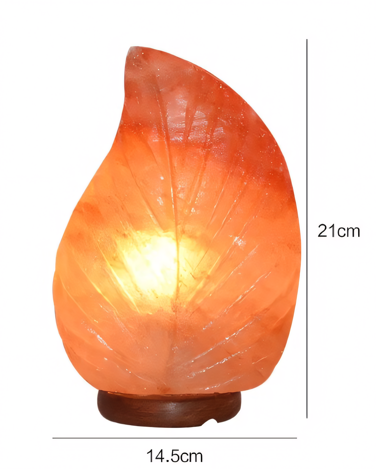 Himalayan Salt Leaf Lamp